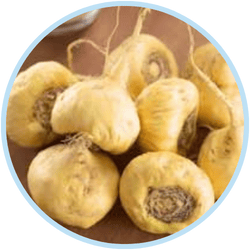 Maca Root