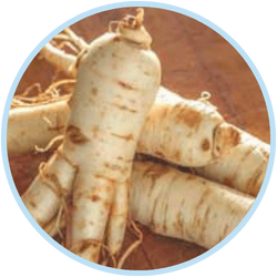 ​Ginseng